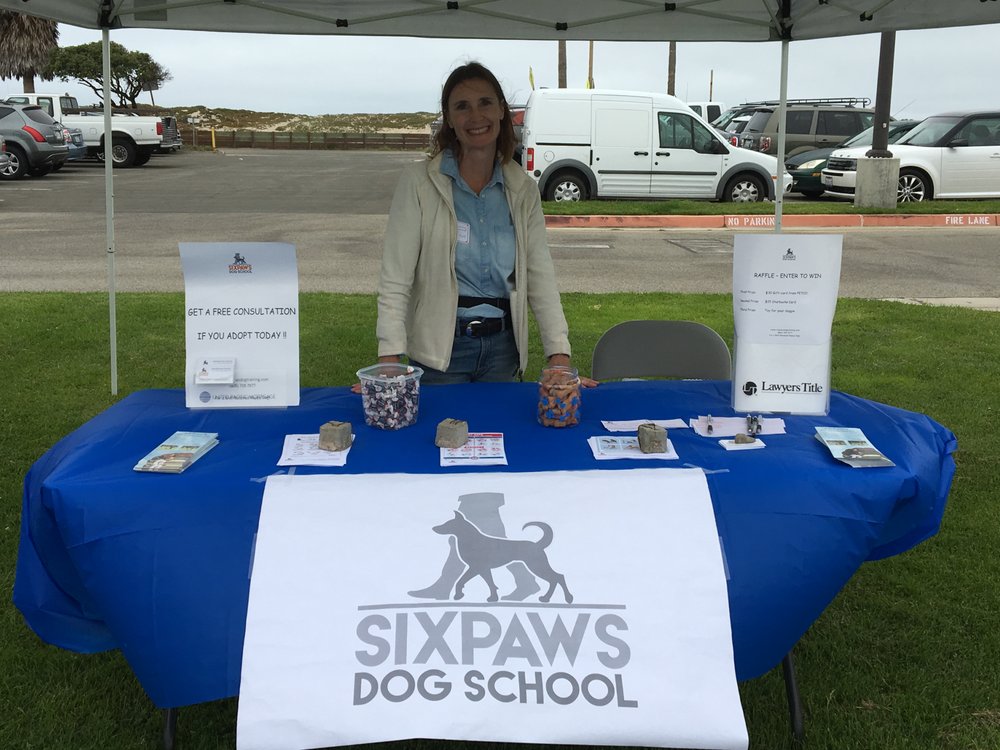 SixPaws Dog School